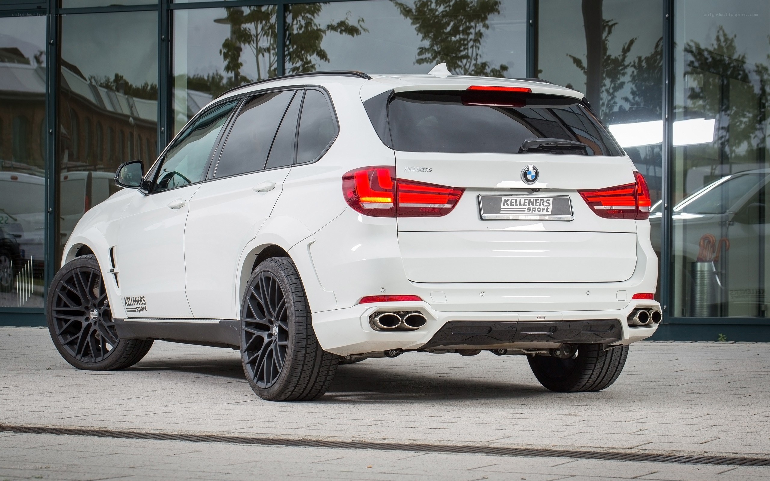white bmw suv rear view