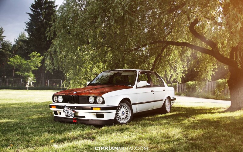White BMW under a willow tree