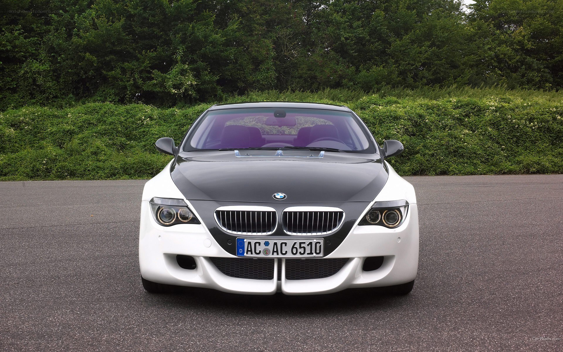 white bmw with black hood