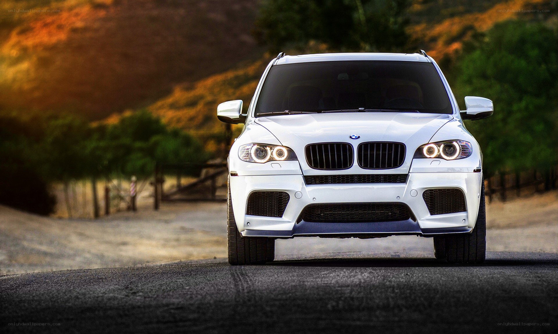 White BMW X6 on a road