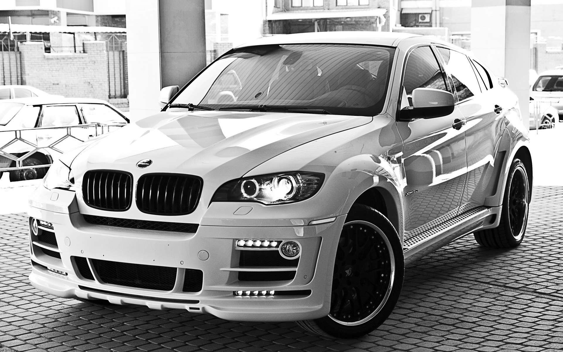 white bmw x6 suv