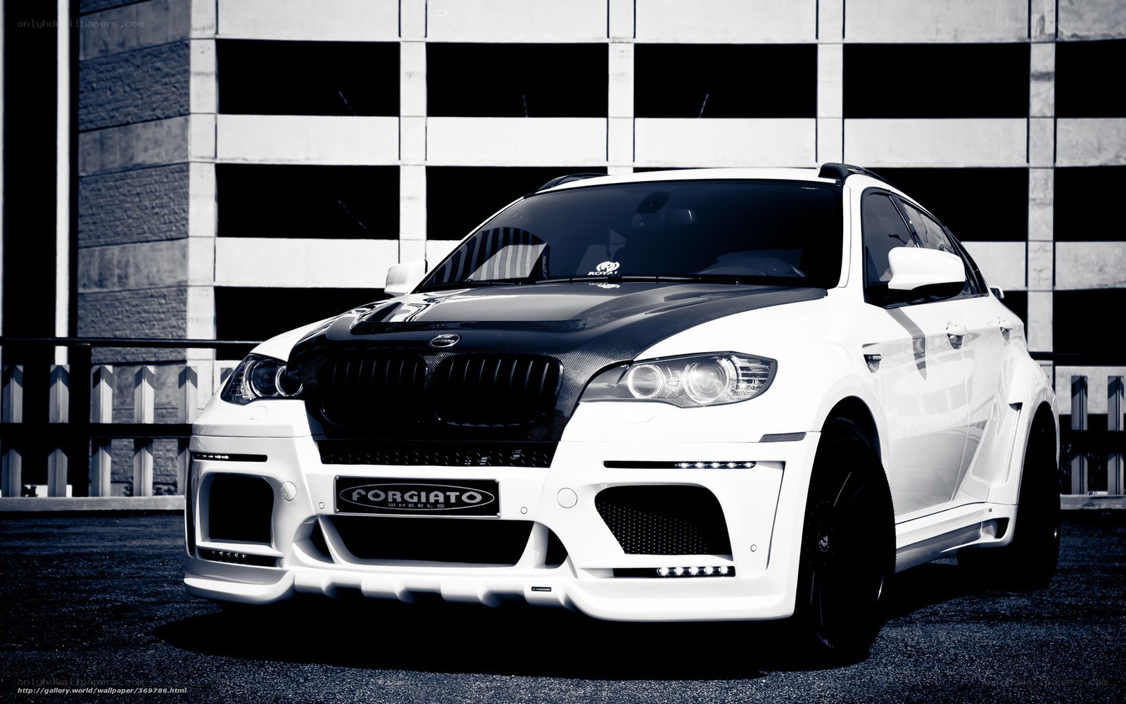 white bmw x6 with carbon fiber hood