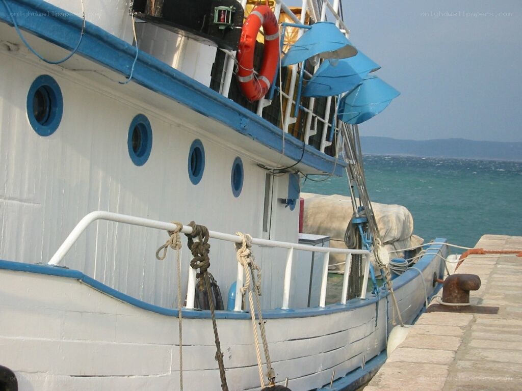 white boat at the dock