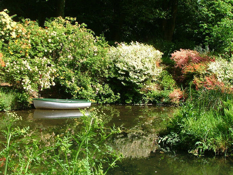 White Boat in Pond