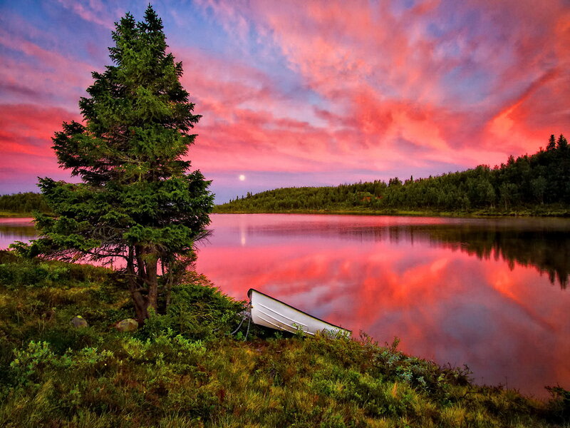 White Boat on Lake Shore — Pink