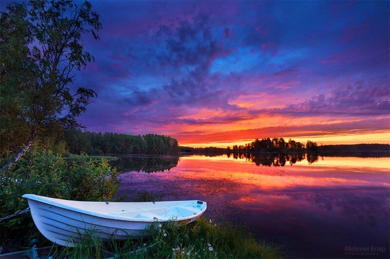 White Boat on Lake Shore — Purple