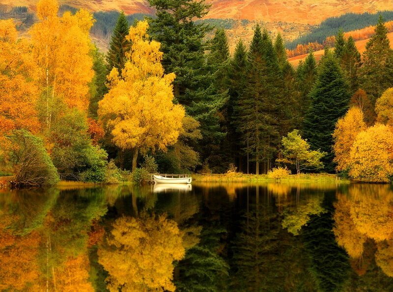 White Boat on Lake — Yellow, Serene
