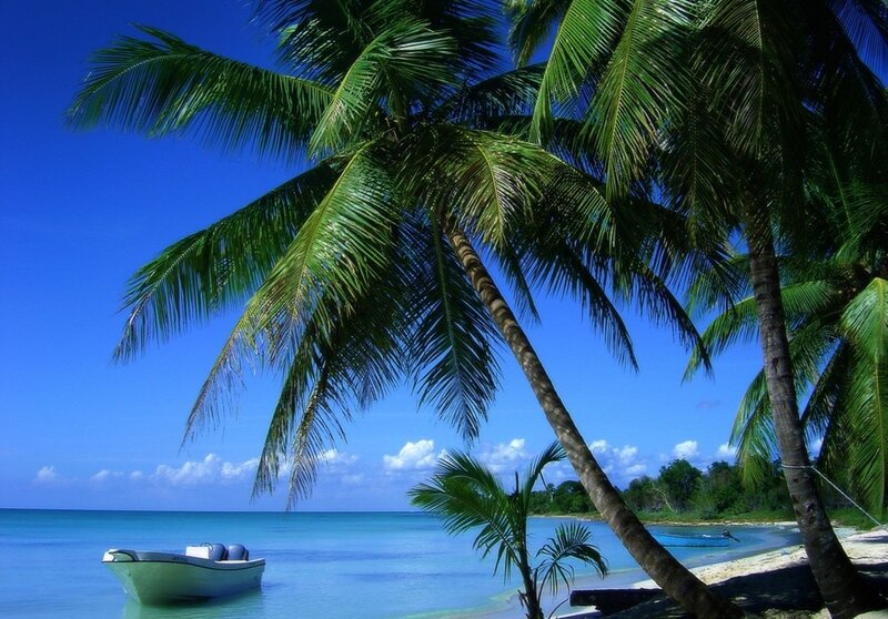 White Boat under Palm Trees — Blue