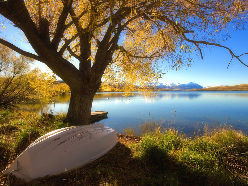 White Boat under Tree — Blue, Serene, Autumn, Photograph