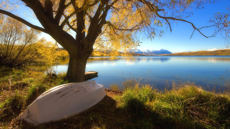 White Boat under Tree — Blue, Serene