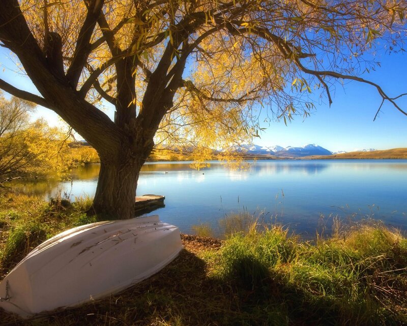 White Boat under Tree — Blue