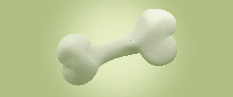 White Bone-shaped Object