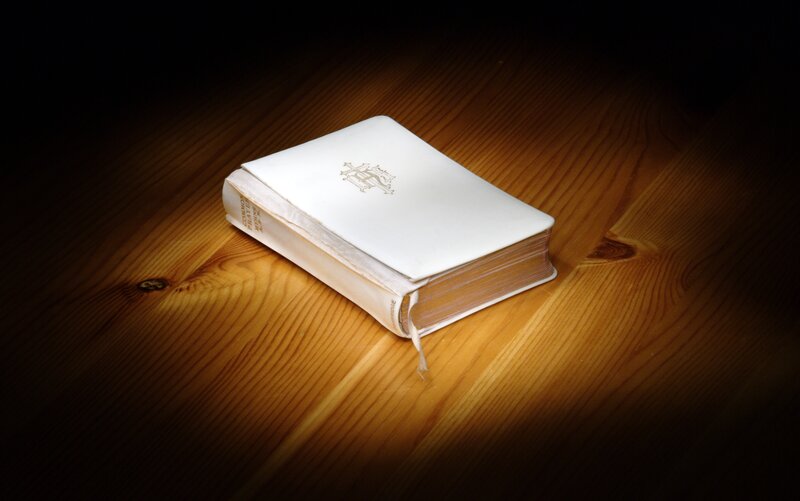 White Book on Wood