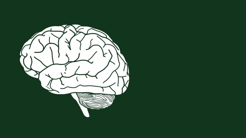 White Brain Outline