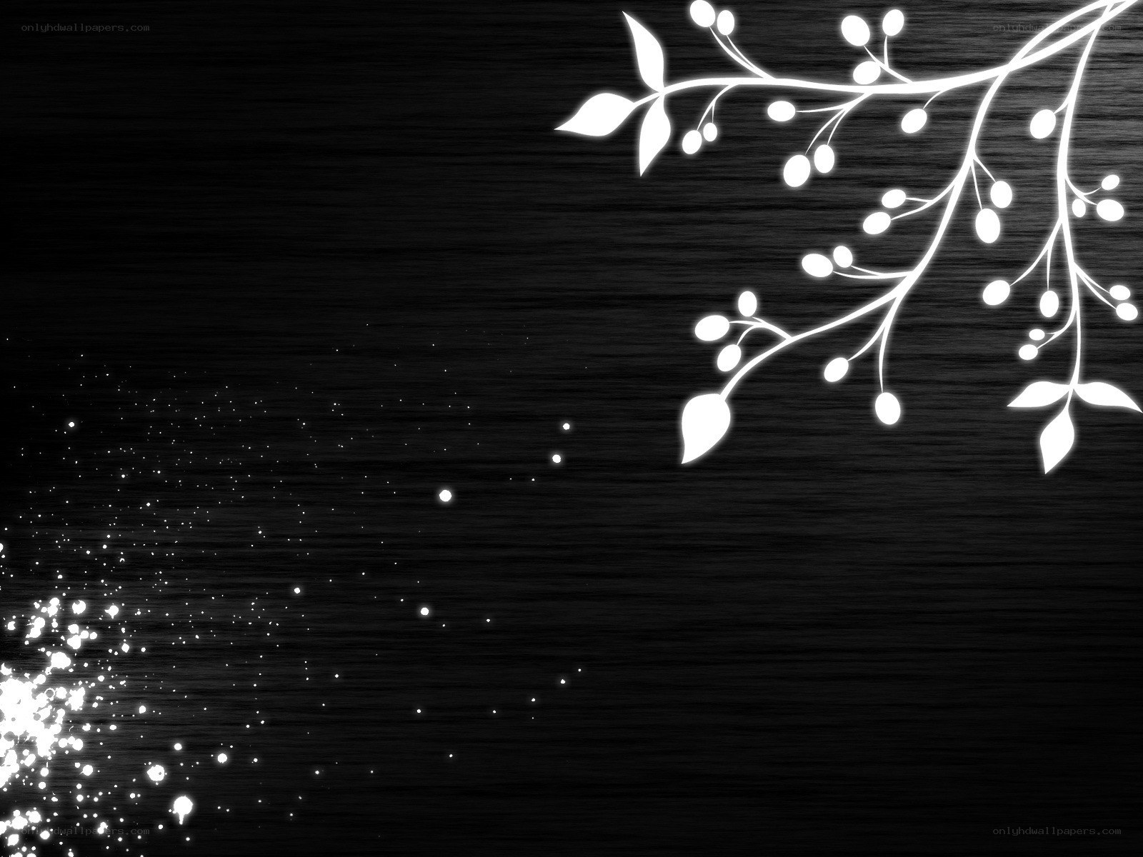 white branch on black background