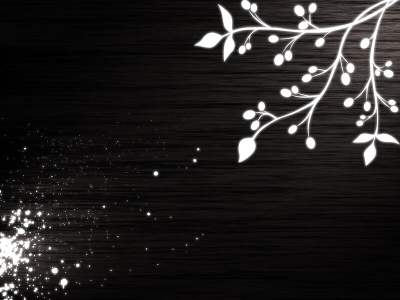 white branch on dark background
