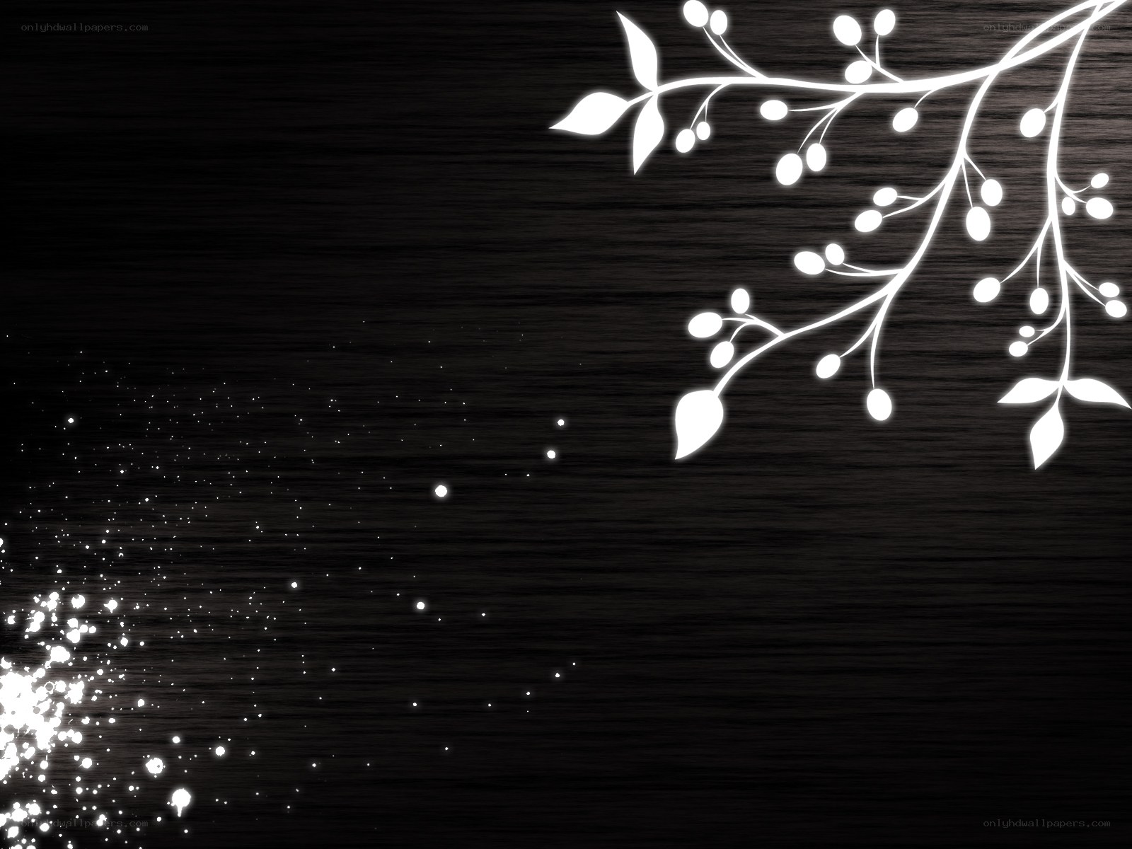 white branch on dark background