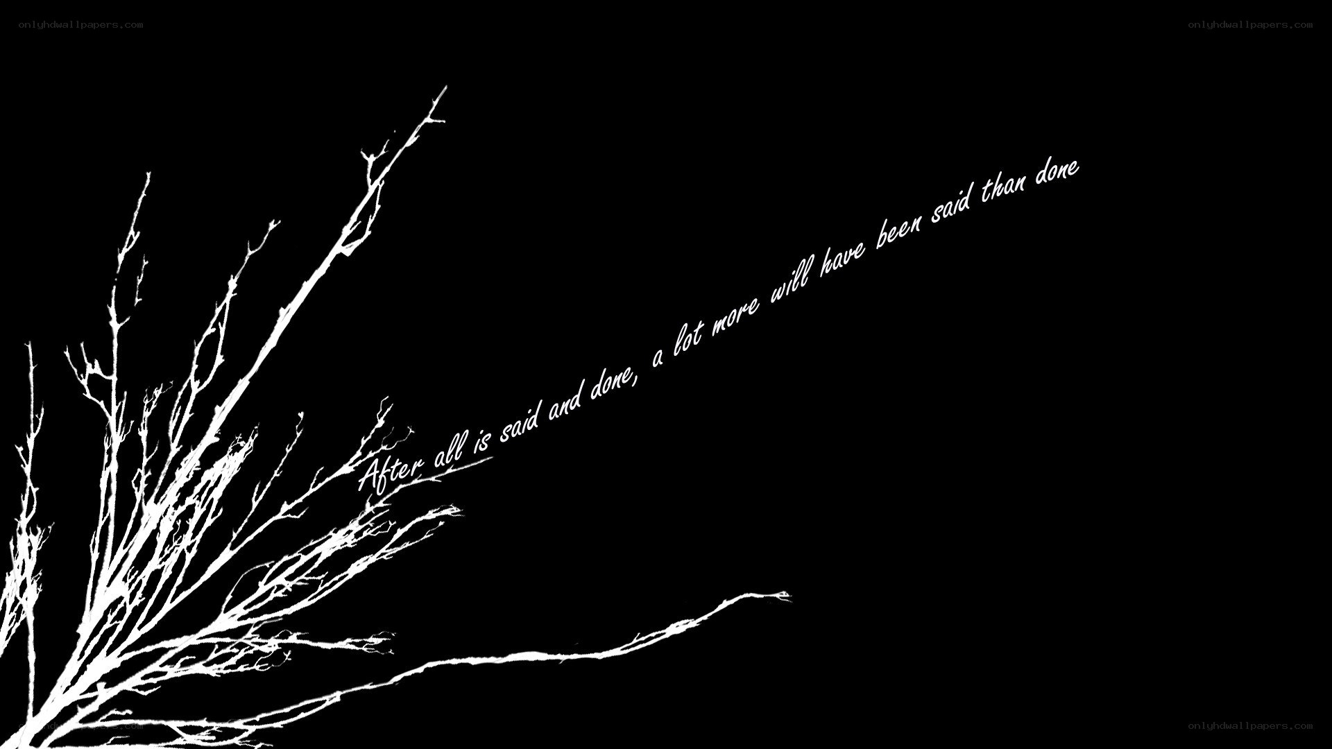 white branches on black background