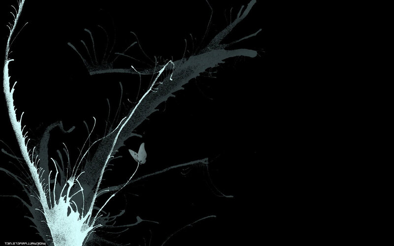 white branches on black background