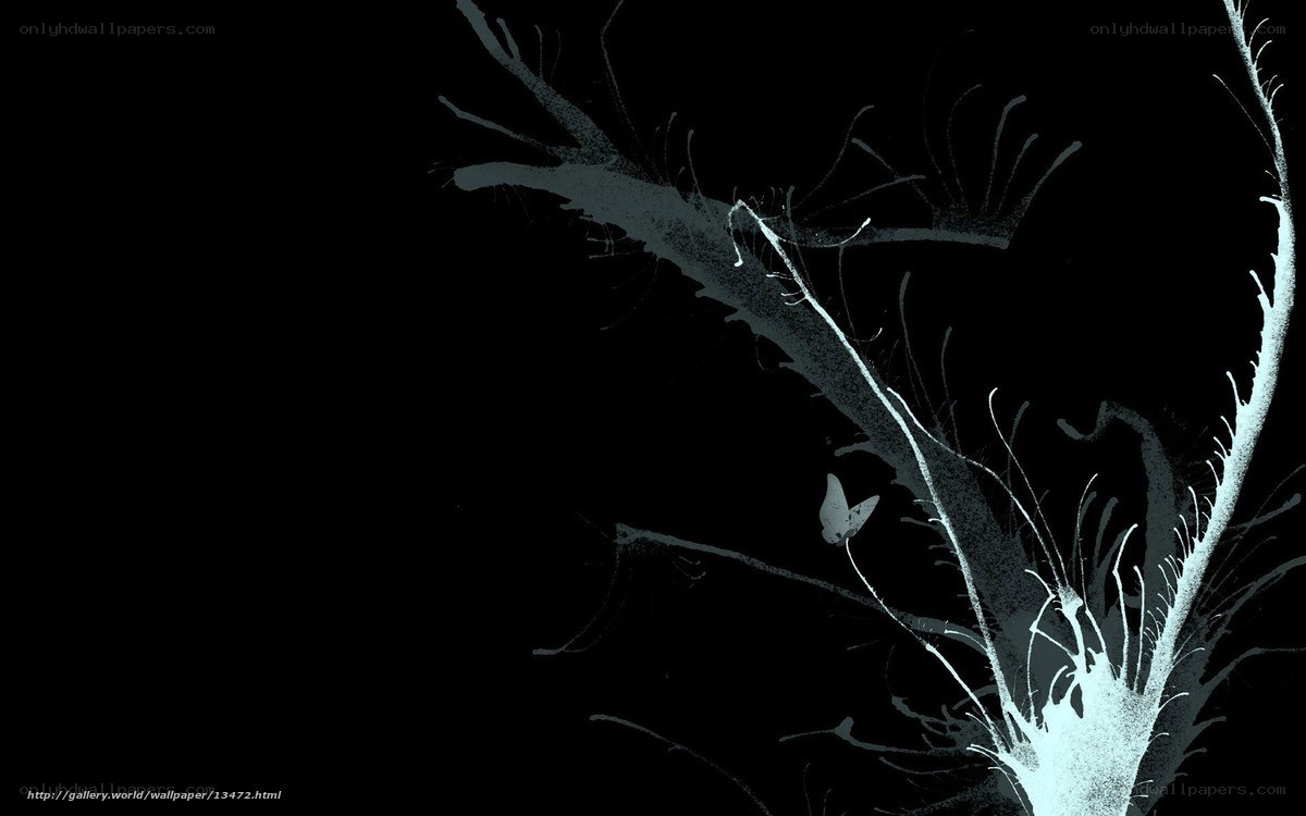 white branches on black background