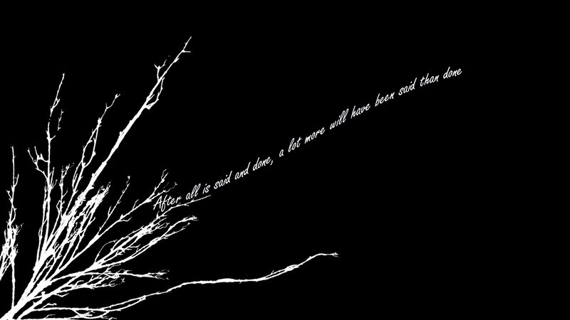 White Branches on Black