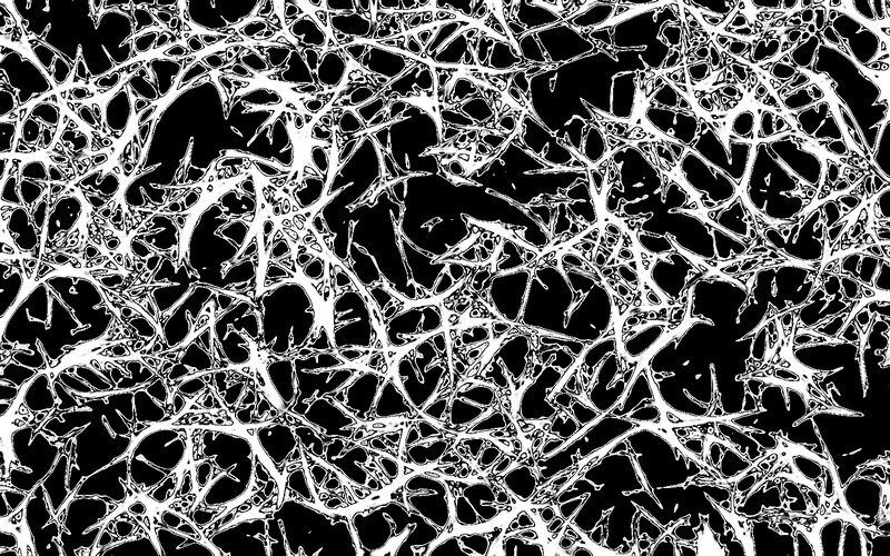 White Branching Network