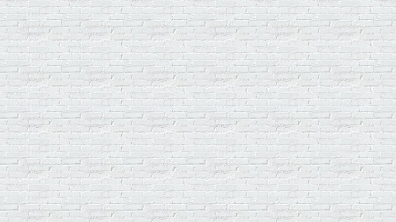 White Brick Wall — Photograph