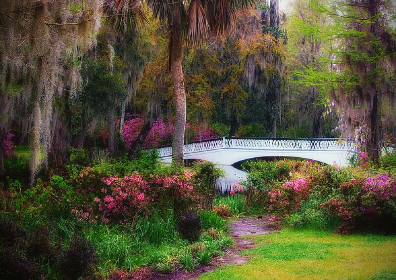 White Bridge in Garden — Green