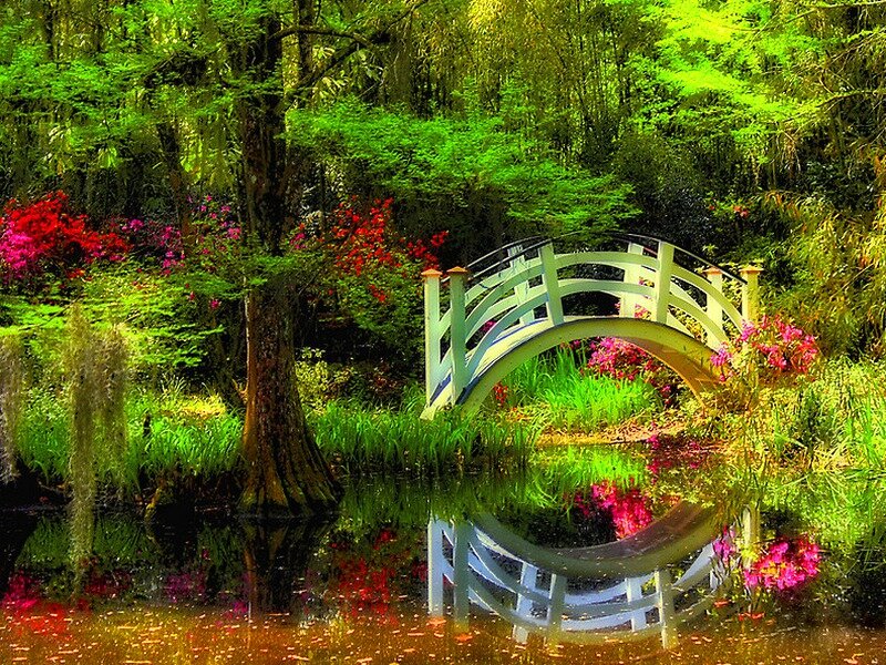 White Bridge in Garden