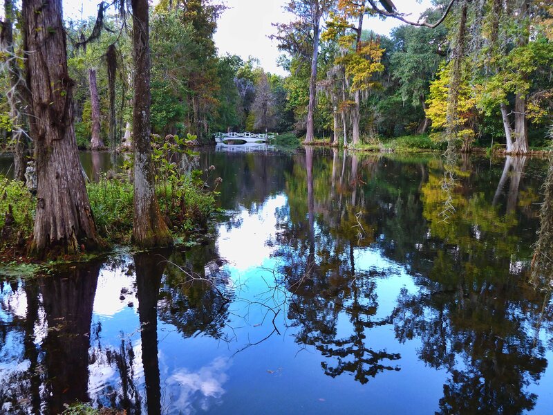 White Bridge over Pond — Blue