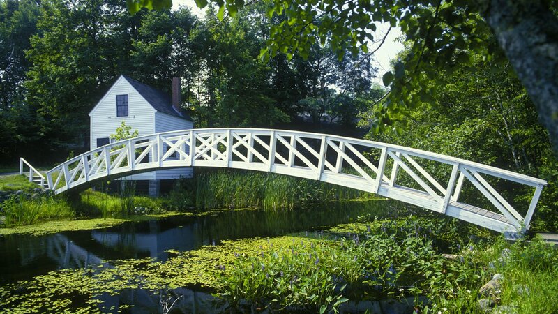 White Bridge over Pond — Green, Serene, Afternoon, Photograph, House