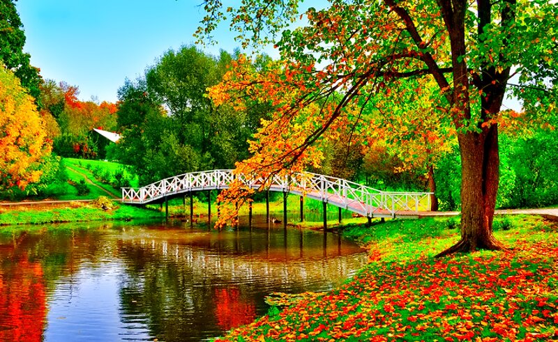White Bridge over Pond — Green, Serene, Autumn