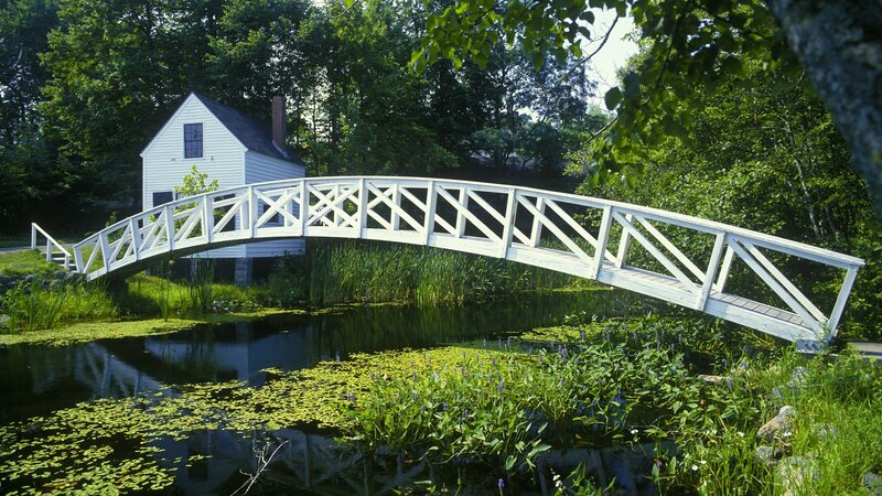 White Bridge over Pond — Green, Serene, Summer