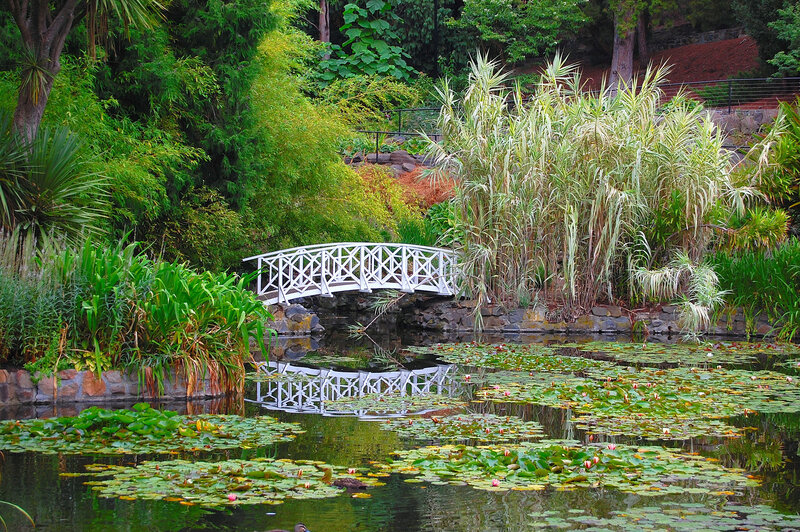 White Bridge over Pond — Green, Serene