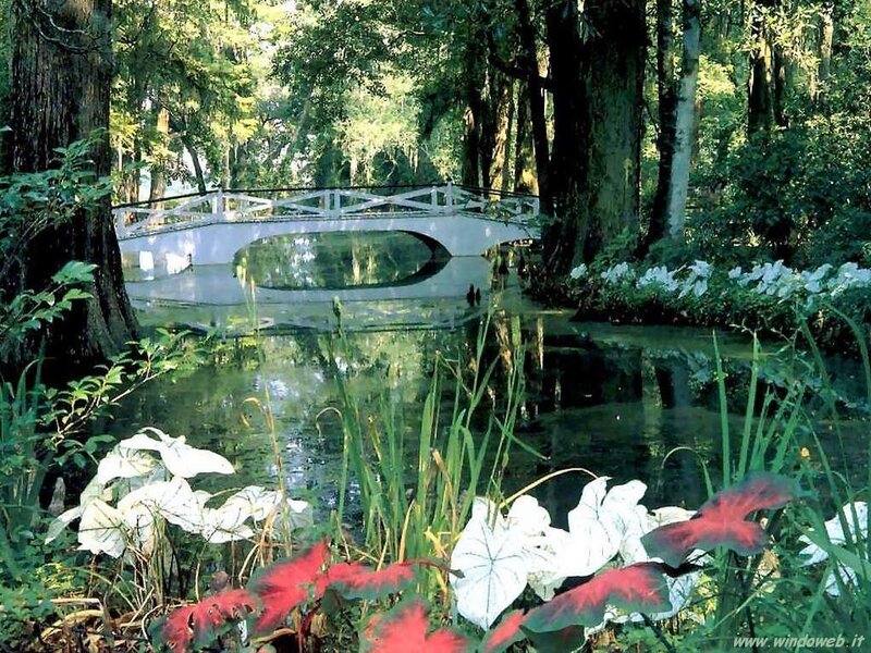 White Bridge over Pond — Green