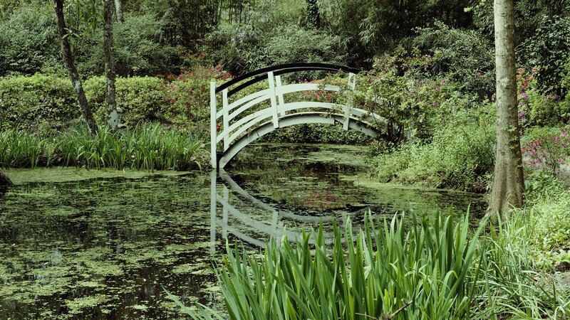 White bridge over pond in garden