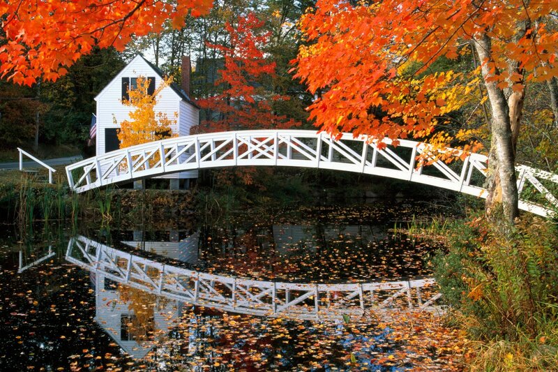 White Bridge over Pond — Orange, Serene, Autumn, Photograph, House