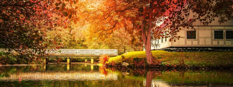 White Bridge over Pond — Orange, Serene, Autumn, Photograph, Tree