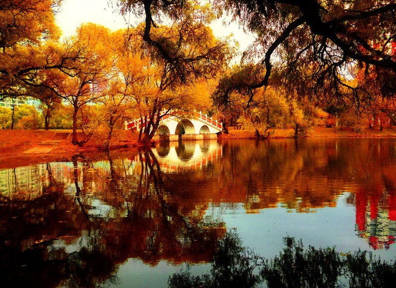 White Bridge over Pond — Orange, Serene, Autumn, Photograph, Trees, Reflection