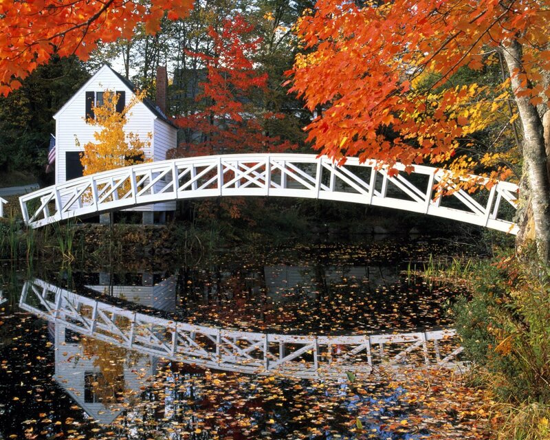 White Bridge over Pond — Orange, Serene, Autumn