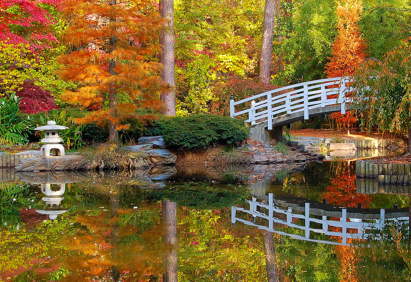 White Bridge over Pond — Orange