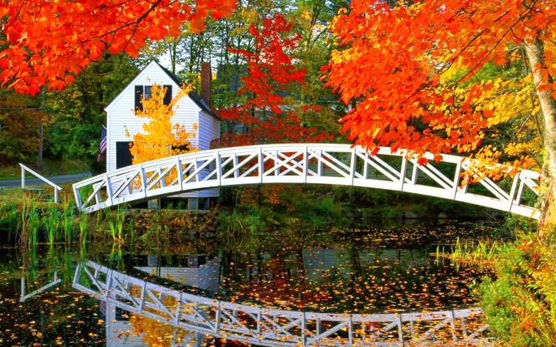 White Bridge over Pond — Red, Serene, Autumn