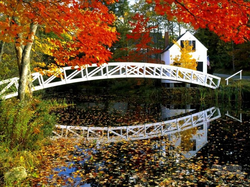 White Bridge over Pond — Red, Serene