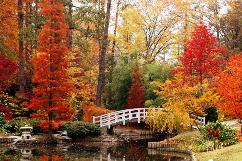 White Bridge over Pond — Red