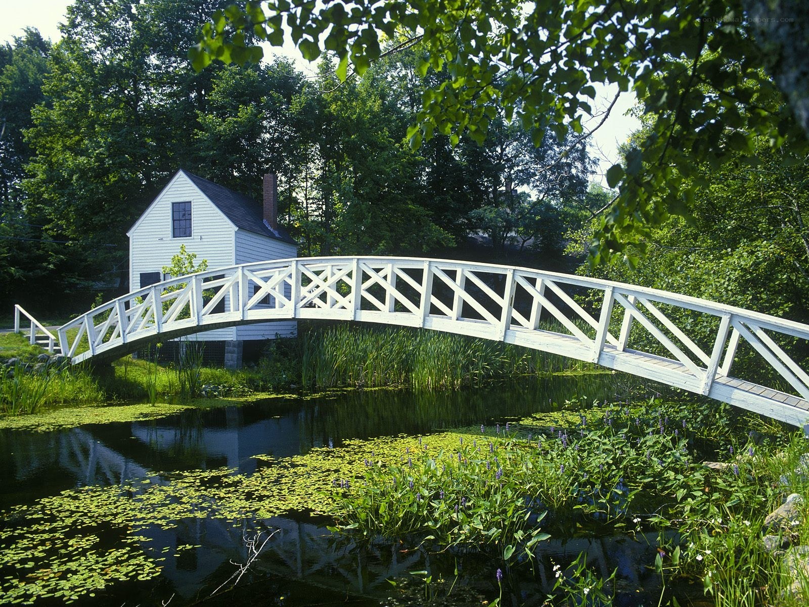 White bridge over pond with house