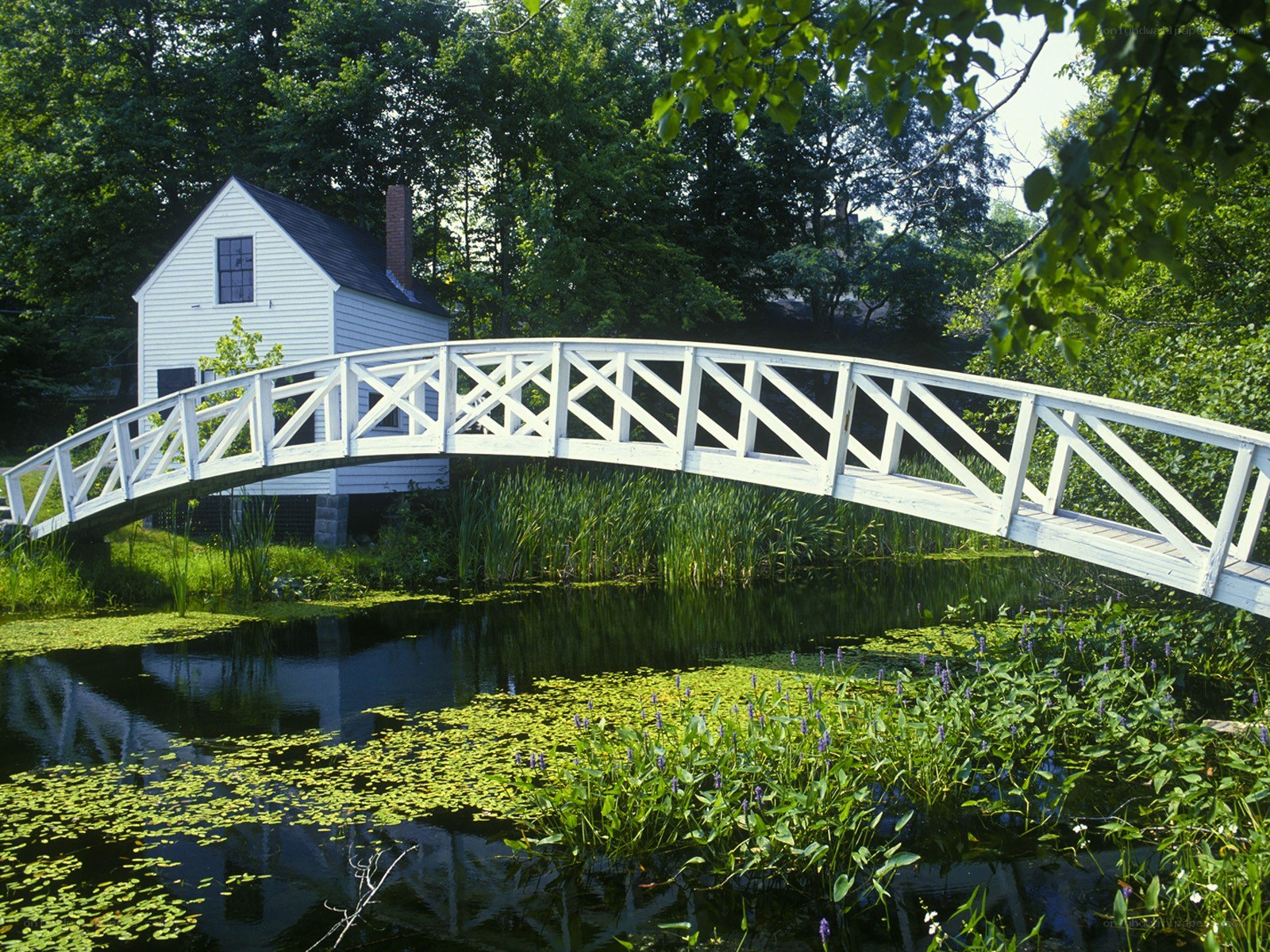White bridge over pond with house