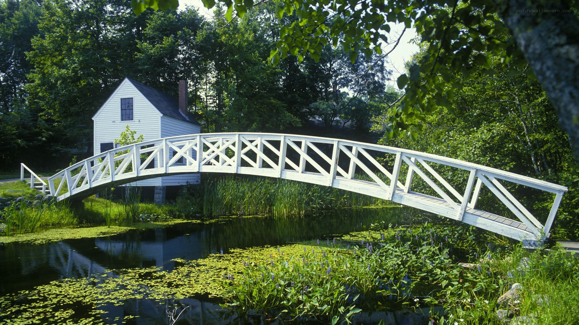White bridge over pond with house