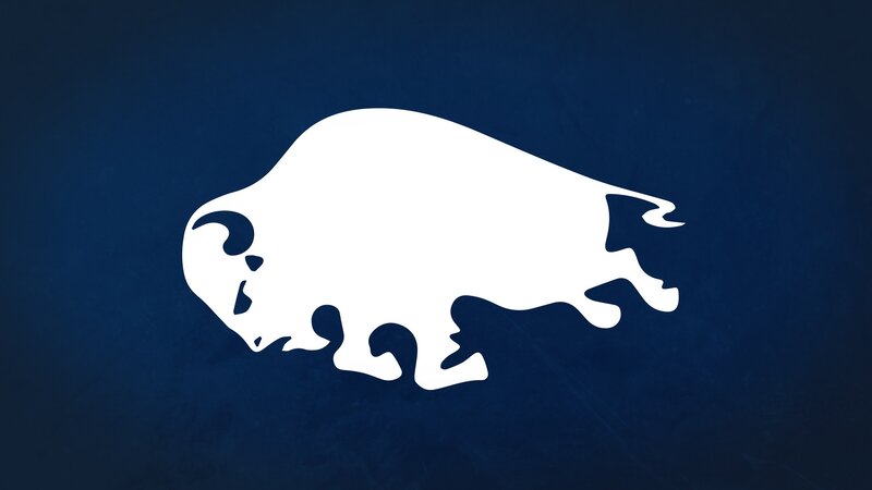 White Buffalo Silhouette