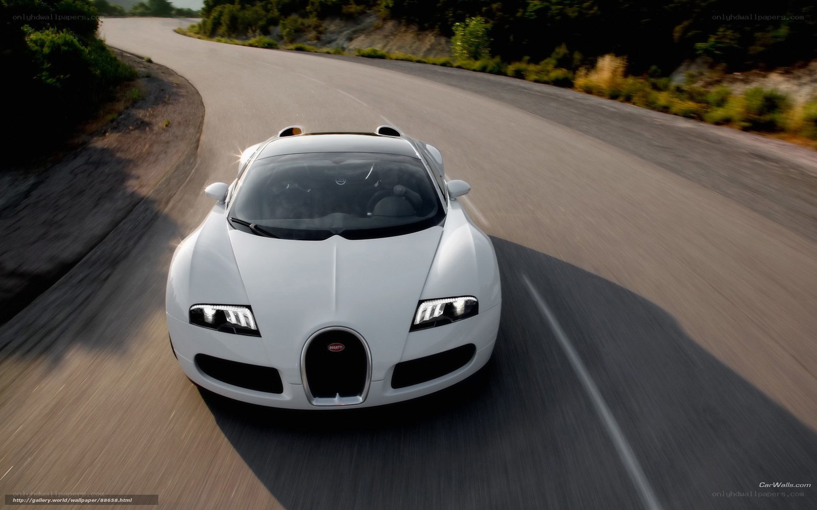 white bugatti driving on road