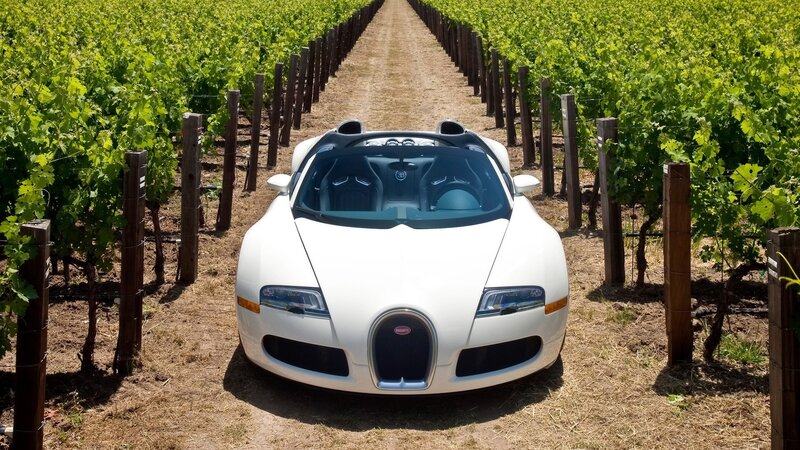 White Bugatti in a vineyard